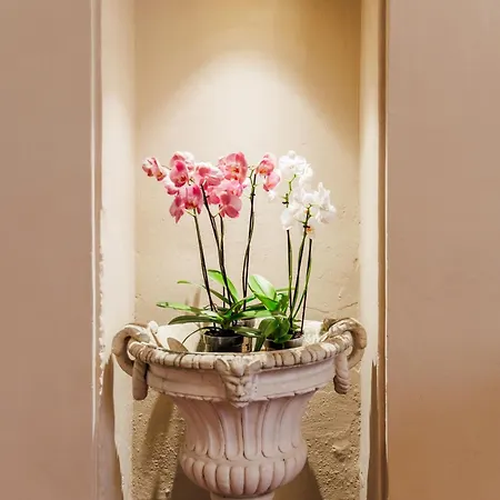Palazzo Della Bianca-royal Experience *
